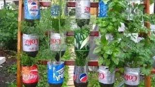 Best Method to Grow Any Plant in Plastic Bottle | Re-use Waste Bottle as Wall Hanging Planter Part-1