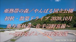 やんばる林道ドライブ2020,10 秋／奥与那林道～佐手辺野喜線～辺野喜線～辺野喜ダム～辺野喜集落