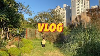 Juny \u0026 Doony VLOG l parenting vlog l Korean baby l Korea cafe l Korea restaurant l Busan cafe