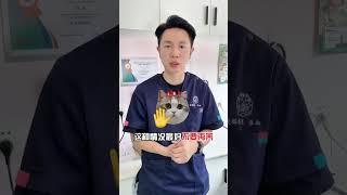 猫照镜子这种反应，一定要小心！ #猫照镜子 #猫照镜子的反应 #猫咪智商 #猫咪行为 #猫咪的迷惑行为