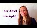 german lesson 9 the german definite articles der die das