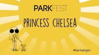 Parkfest 2015