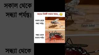 🤣কি বুঝলেন আপনারা 🤣#funny🤣 motivitional video#funny🤣 মটিভিশনাল ভিডিও#funny🤣 ytshotsvideo#