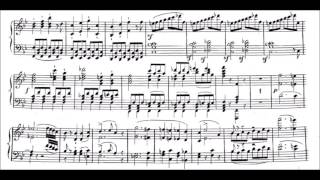 Mozart-Hummel - Symphony 40 (Allegro molto) - Cyprien Katsaris Piano