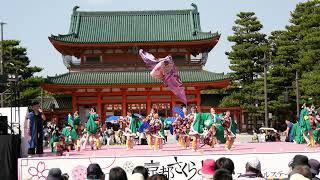 28 桜道里 ［4K］京都さくらよさこい2023