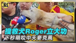 【點新聞】汪汪隊立大功！搜救犬Roger尋獲第3具遺體　下秒萌咬中天麥克風