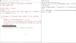 Python data validation that is Best
