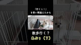 🐶「あっ」言い間違えたかな？ #喋る犬