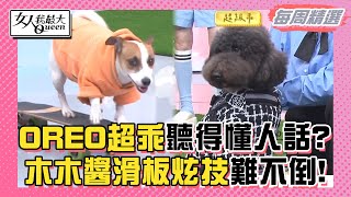 【本周精選】季芹＋OREO！病犬無人領養季芹決定收編！木木醬！滑板小天才！花式炫技難不倒！  20230616-0622