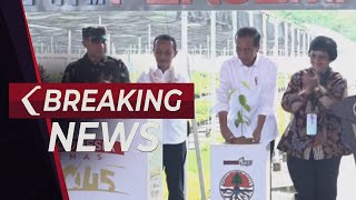 BREAKING NEWS - Presiden Jokowi Resmikan Persemaian Mentawir, Penajam Paser Utara