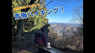 小さな山を大縦走！青梅丘陵ハイキングの旅