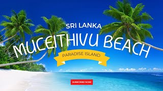 Mulaithivu | Sri Lanka beach beauty  | මුලතිව් 😍 SK Videos