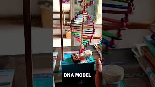 DNA Working model