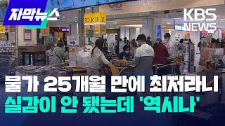 [자막뉴스] 물가 25개월 만에 최저라니…실감이 안 됐는데 '역시나' / KBS 2023.08.03.