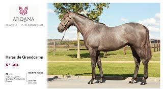 Arqana 2022.10 - Lot N° 364 - M. / Penny's Picnic x Levitha, présenté par le Haras De Grandcamp