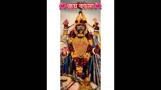 জয় বড়মা🌺🙏 ধর্ম যার যার বড়মা সবার🙏 #বড়মা #boromaa #boromaanaihati #kali #naihati #naihatiboroma