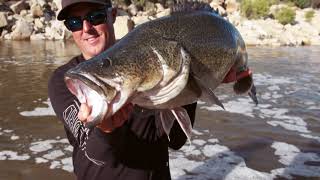 Fishn With Mates S5 Ep1 Massive Murray cod of Copeton