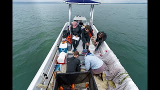 UVA Environmental Institute: About