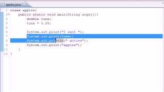 Java Programming Tutorial 5 Variables