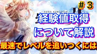 幻想神域2 上級者に追いつくには！サーバー上限レベル最大になったのでレベル上げについて話します