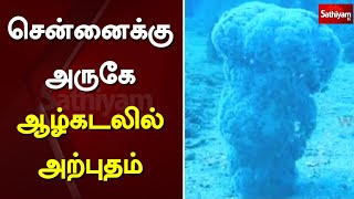 சென்னைக்கு அருகே ஆழ்கடலில் அற்புதம் | Chennai | SathiyamTV