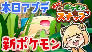 新ポケモン！新エリア！可愛い写真を撮るぞ〜【New ポケモンスナップ | ポケスナ】