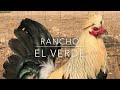 (El RANCHO EL VERDE )(FARM)