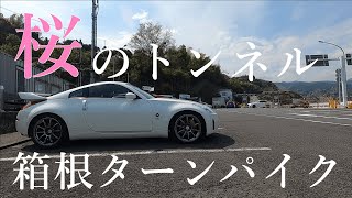 Z33に乗って箱根ターンパイクに桜のトンネルを見に行く