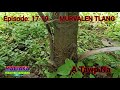 murvalen tlang a tawp na episode 19 20