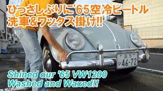 空冷ワーゲンの洗車は楽しい!? ひっさしぶりに'65ビートルの洗車\u0026ワックス掛け。まあまあ奇麗に Shined our '65 VW1200! Washed and Waxed!!