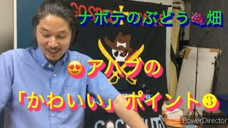 93「くれよ！ナボテの畑！」Ⅰ列王記21章1〜16節