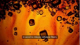 Model 14 II Kraft Process II Chemical Pulp II Paper Manufacturing II EducationII Paper II Diploma II
