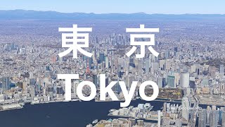 空から東京の街を見たら凄すぎた… 【Google Earth】/ Seeing Tokyo from the sky was amazing... 【Google Earth】