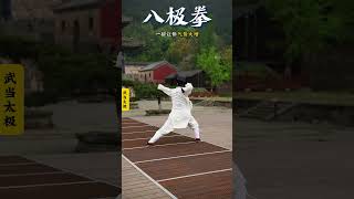 八极拳 文有太极安天下，武有八极定乾坤！ #taijiquan #dance #gongfu #martialarts#taiji #wudang