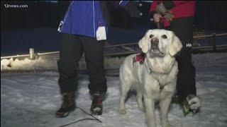 We catch up with Ava the avalanche dog at Arizona Snowbowl