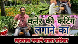 कनेर की कटिंग लगाने का तहलका मचाने वाला तरीका देखिए / Oleander Cutting Propagation