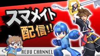 【スマブラSP】ソラメイト