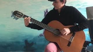 Der Glitzerfisch -  Nylon Strings Bass Guitar