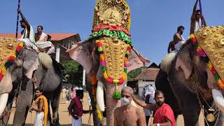 പൂരനായകൻ തിരുവമ്പാടി ചന്ദ്രശേഖരൻ.. ഏറ്റുമാനൂരപ്പന്റെ മണ്ണിൽ