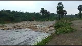 மேற்குத் தொடர்ச்சி மலைப்பகுதி அனுமன் நதி வெள்ளம்