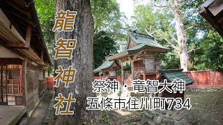 龍智神社（五條市住川町734）（奈良の爺々）