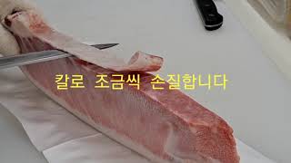 참다랑어 대뱃살 손질법  クロマグロの腹