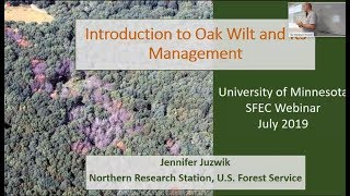 Oak Wilt: Biology, Distribution, and Management Approaches