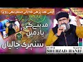 Madina Madina | Complete Hazri | Alhaj Shehzad Hanif Madni | Al Nafees Video Production