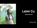 Laimi cu || Karaoke with lyrics