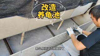 楼顶养龟种菜：养龟池用6年后首次改造过程分享，可参考建造