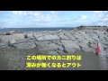 【サーフ】ヒラツメガニ【蟹網】