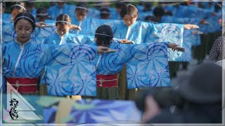 【公式】おどりんちゅ2022 碧嵐  原宿表参道元氣祭スーパーよさこい 代々木の杜 ぼんおどり会場  2日目