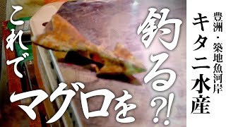 マグロの釣り具とは？！築地魚河岸キタニ水産のマグロ解体｜Toyosu \u0026 Tsukiji fish market  | Giant  Tuna dismantling