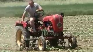 Porsche Diesel Junior 4 mit Kürbis Hackgerät... Weed chopping